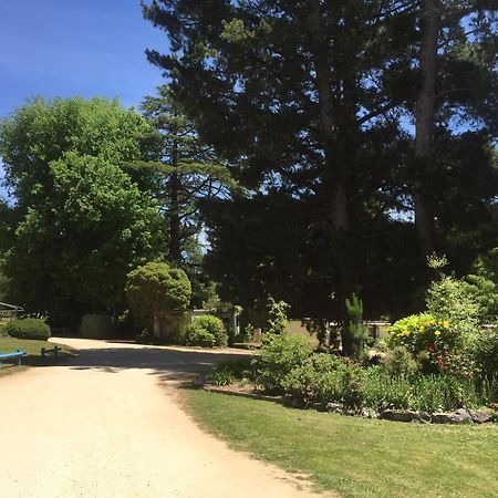 Daylesford Holiday Park المظهر الخارجي الصورة